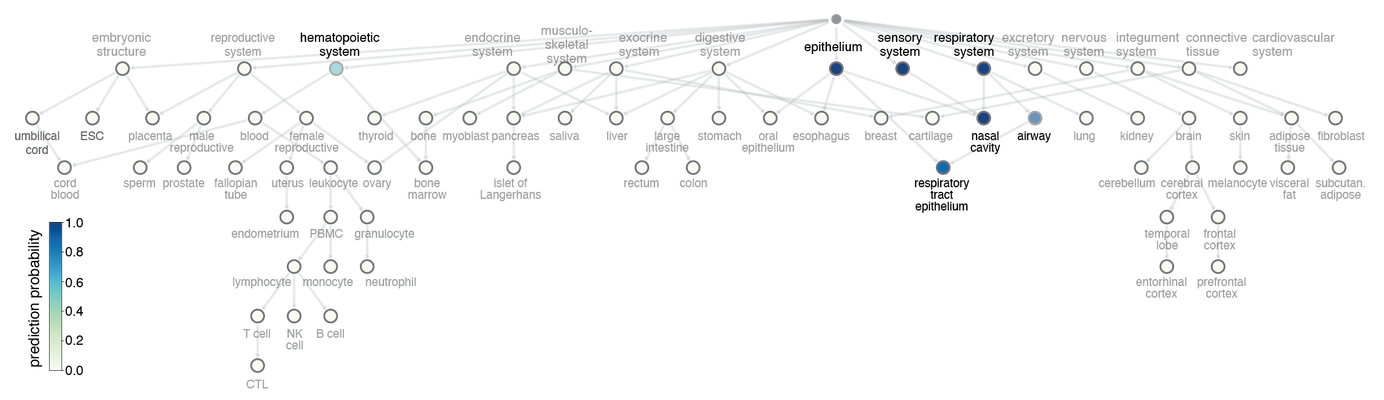 proj image